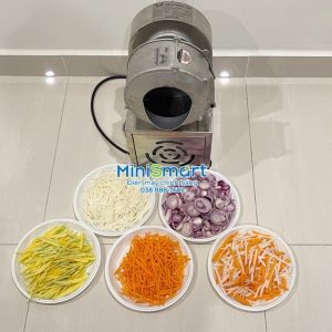 Máy bào đu đủ - Máy cắt đồ chua 80kg/giờ